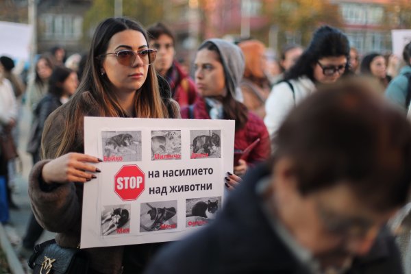 Снимка: Димитър Кьосемарлиев, Dnes.bg